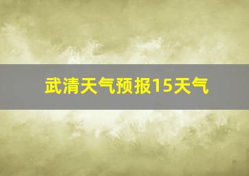 武清天气预报15天气