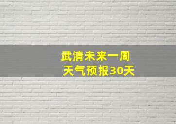 武清未来一周天气预报30天