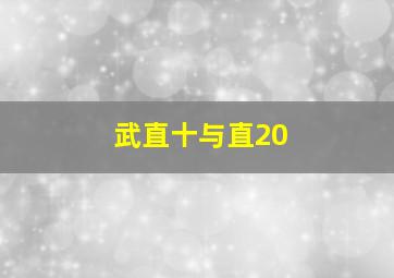 武直十与直20