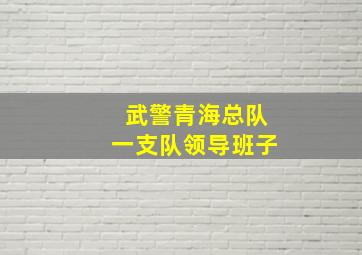 武警青海总队一支队领导班子