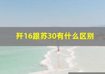 歼16跟苏30有什么区别