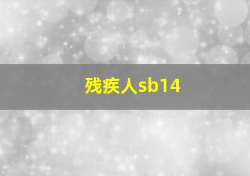 残疾人sb14