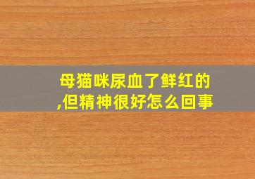 母猫咪尿血了鲜红的,但精神很好怎么回事