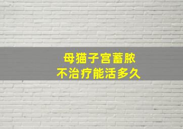 母猫子宫蓄脓不治疗能活多久