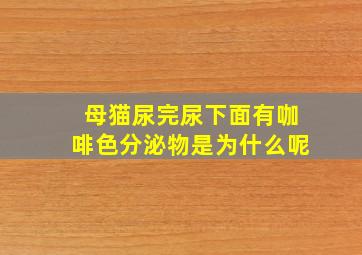 母猫尿完尿下面有咖啡色分泌物是为什么呢