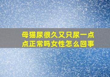 母猫尿很久又只尿一点点正常吗女性怎么回事