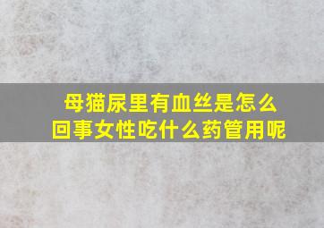 母猫尿里有血丝是怎么回事女性吃什么药管用呢