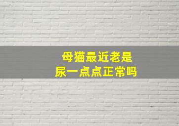 母猫最近老是尿一点点正常吗