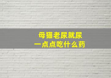 母猫老尿就尿一点点吃什么药