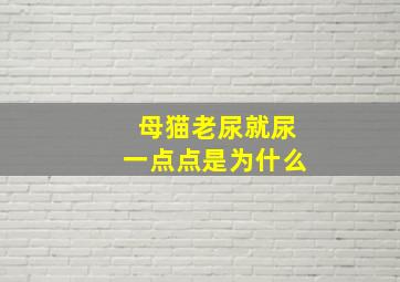 母猫老尿就尿一点点是为什么