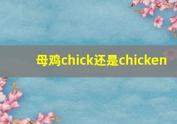 母鸡chick还是chicken