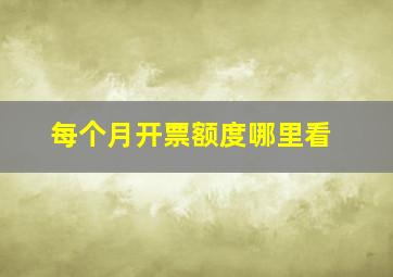 每个月开票额度哪里看