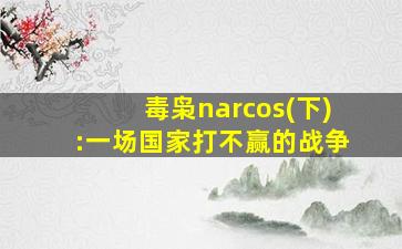 毒枭narcos(下):一场国家打不赢的战争