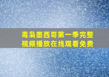 毒枭墨西哥第一季完整视频播放在线观看免费