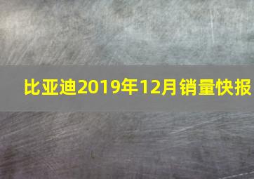 比亚迪2019年12月销量快报