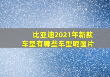 比亚迪2021年新款车型有哪些车型呢图片