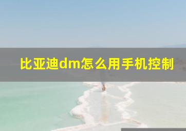 比亚迪dm怎么用手机控制