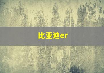 比亚迪er