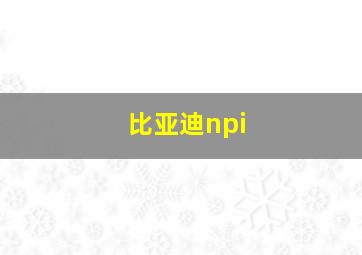 比亚迪npi