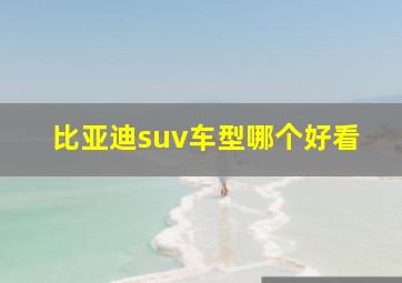 比亚迪suv车型哪个好看