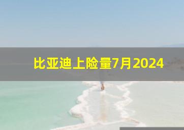 比亚迪上险量7月2024