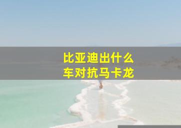 比亚迪出什么车对抗马卡龙