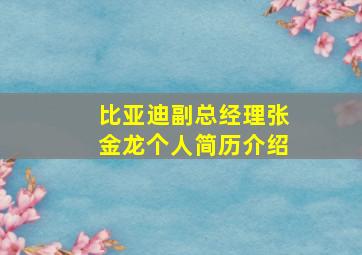 比亚迪副总经理张金龙个人简历介绍