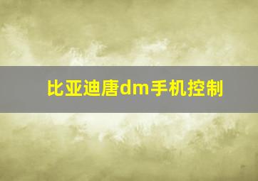 比亚迪唐dm手机控制