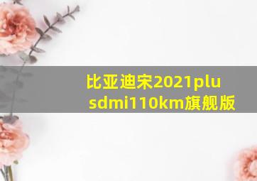 比亚迪宋2021plusdmi110km旗舰版