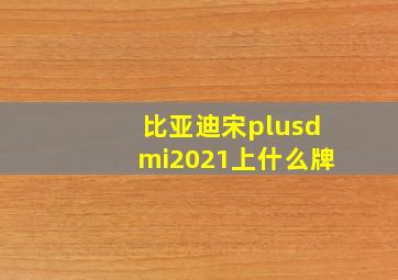 比亚迪宋plusdmi2021上什么牌