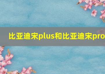 比亚迪宋plus和比亚迪宋pro