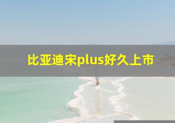 比亚迪宋plus好久上市