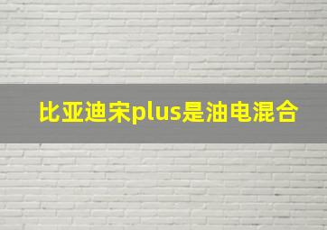 比亚迪宋plus是油电混合