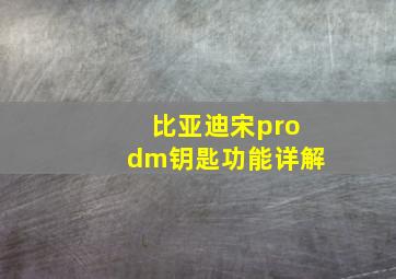 比亚迪宋prodm钥匙功能详解