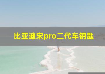 比亚迪宋pro二代车钥匙