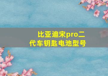 比亚迪宋pro二代车钥匙电池型号