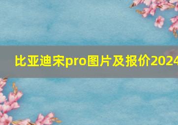 比亚迪宋pro图片及报价2024