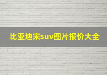 比亚迪宋suv图片报价大全