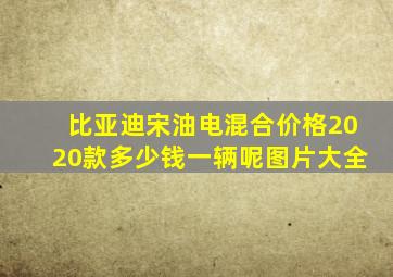 比亚迪宋油电混合价格2020款多少钱一辆呢图片大全