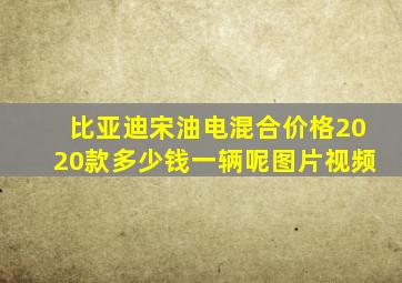 比亚迪宋油电混合价格2020款多少钱一辆呢图片视频