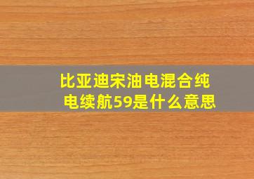 比亚迪宋油电混合纯电续航59是什么意思