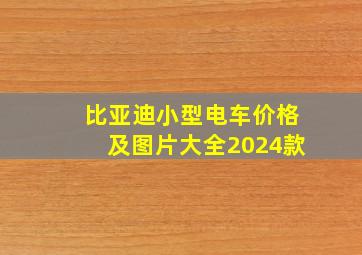 比亚迪小型电车价格及图片大全2024款