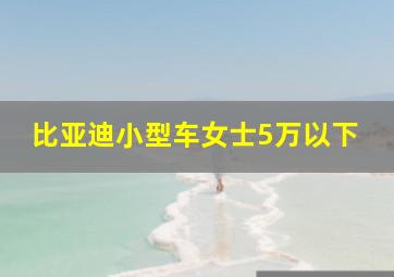 比亚迪小型车女士5万以下