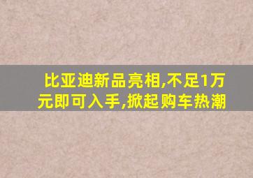 比亚迪新品亮相,不足1万元即可入手,掀起购车热潮