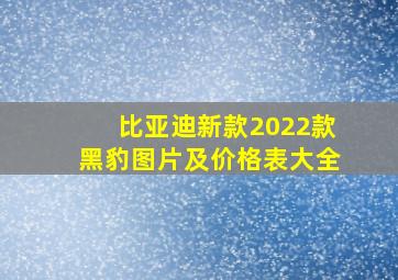 比亚迪新款2022款黑豹图片及价格表大全