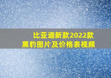 比亚迪新款2022款黑豹图片及价格表视频