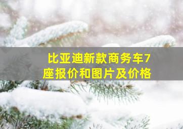 比亚迪新款商务车7座报价和图片及价格