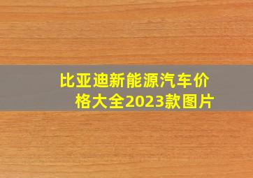 比亚迪新能源汽车价格大全2023款图片