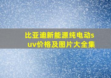 比亚迪新能源纯电动suv价格及图片大全集