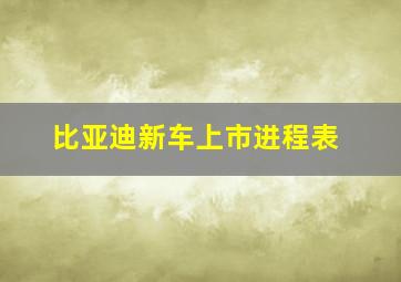 比亚迪新车上市进程表